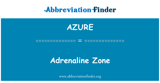 AZURE: 腎上腺素區