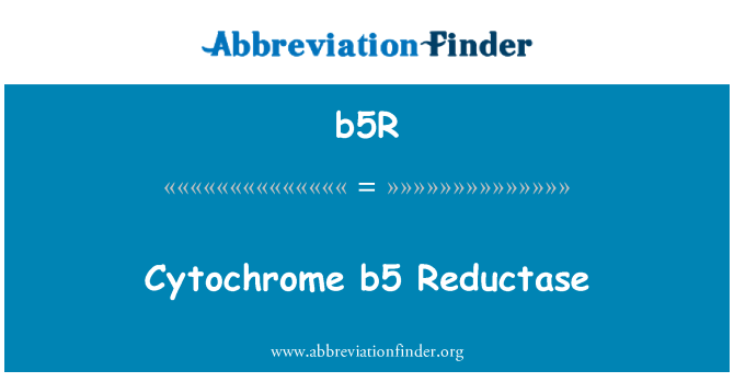 b5R: الفسفرة b5 ريدكتيز