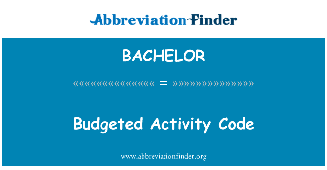 BACHELOR: В бюджете код деятельности