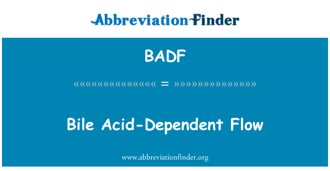 BADF: Žlučové kyseliny dependentní Flow