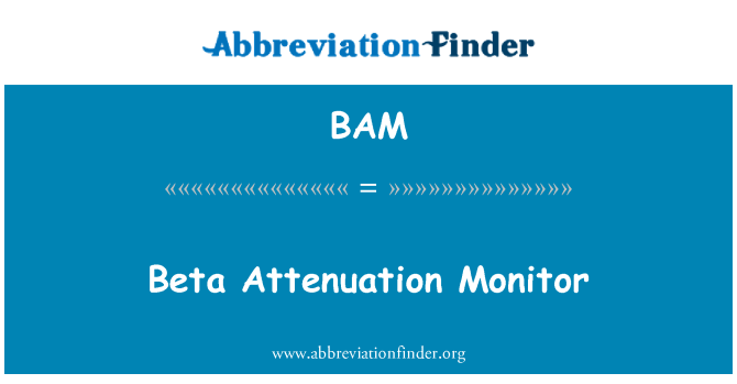 BAM: Monitor di attenuazione beta