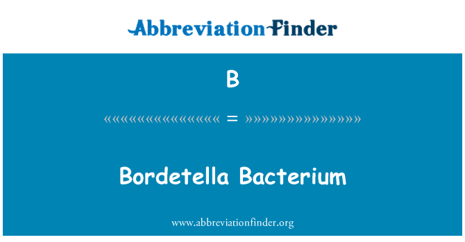 B: Bacteria Bordetella