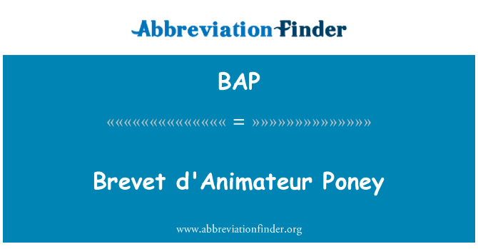 BAP: Brevet d'Animateur Poney