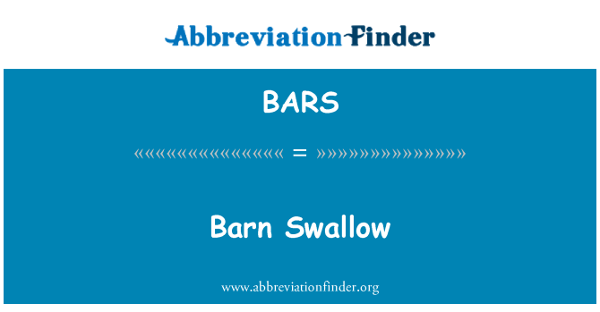 BARS: Andorinha