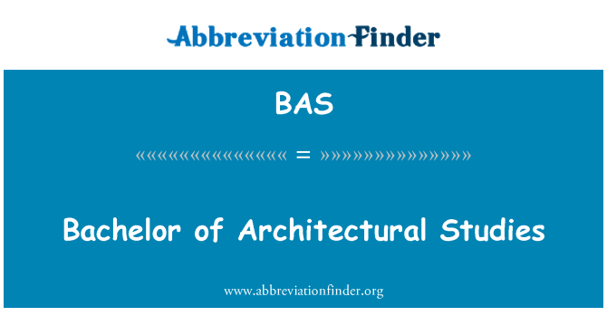 BAS: Bachelor in de architectonische Studies