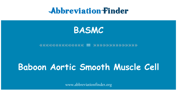 BASMC: Babuí aòrtica múscul llis cel·lular