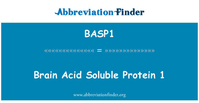 BASP1: 脑酸溶性蛋白 1