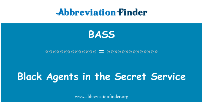 BASS: Negru agenţilor în Serviciul Secret