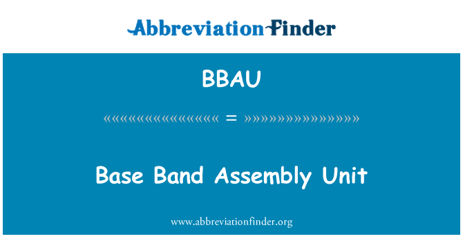 BBAU: Base Band Assembly Unit