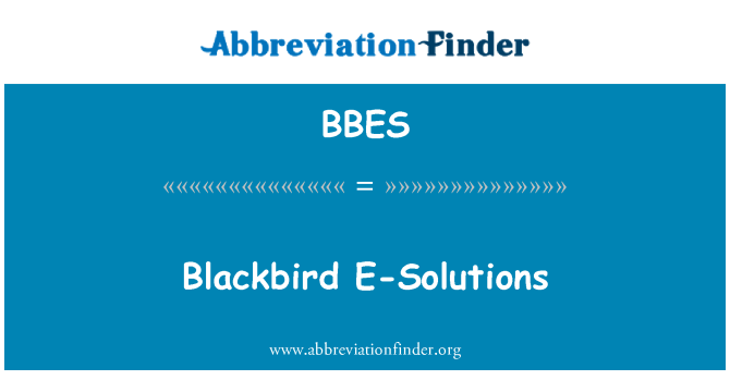 BBES: Merlo E-Solutions