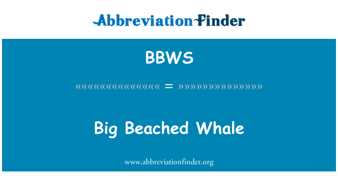 BBWS: 大條擱淺的鯨魚