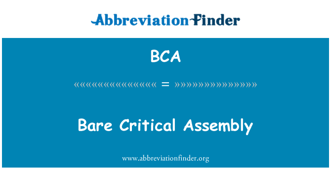 BCA: Assemblea crítica nua