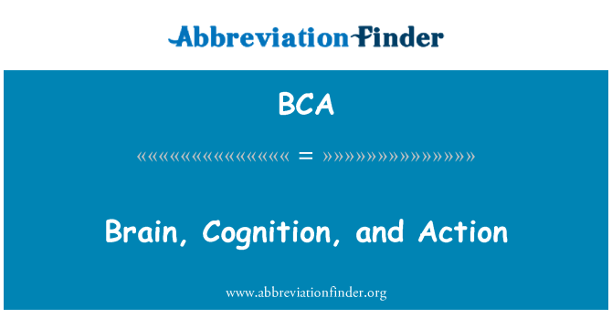 BCA: मस्तिष्क, अनुभूति, और कार्रवाई