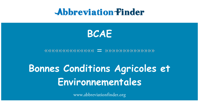 BCAE: Kondisi Bonnes Agricoles et Environnementales