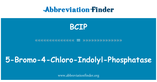 BCIP: 5-Bromo-4-chloro-indolyl-Phosphatase