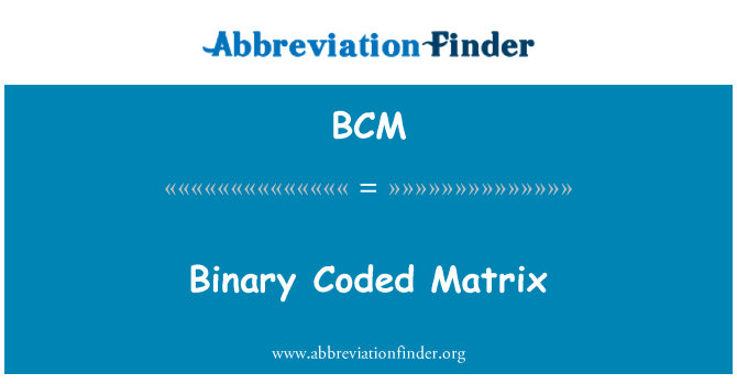 BCM: 이진 코딩 된 매트릭스