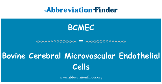 BCMEC: Sığır serebral mikrovasküler endotel hücreleri