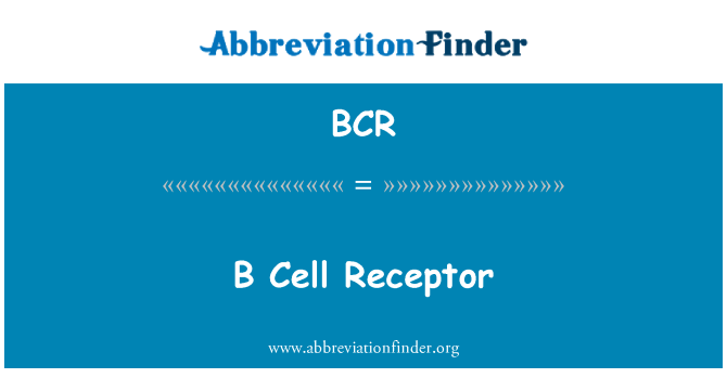 BCR: B-sejt Receptor