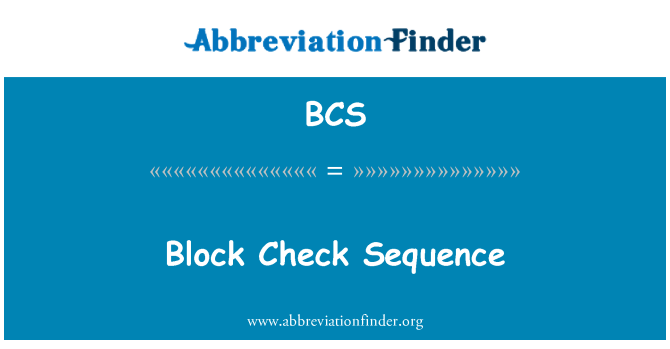 BCS: 块检查序列