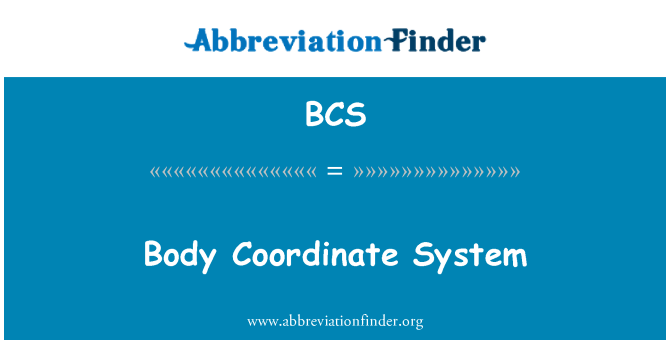 BCS: מערכת קואורדינטות הגוף