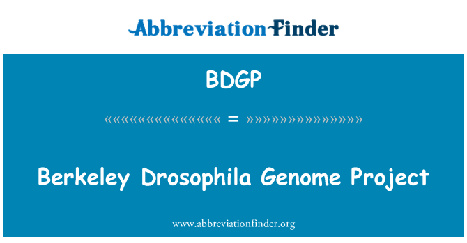 BDGP: Berkeley Drosophila Genome Project