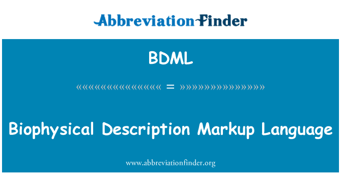 BDML: Biophysical Description Markup Language