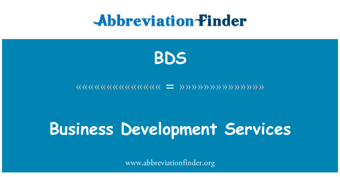 BDS: Business Development Services