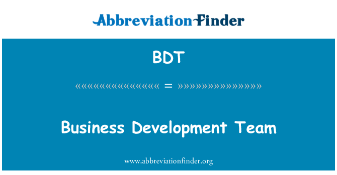 BDT: 業務開發團隊