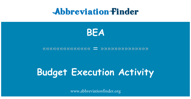 BEA: Rozpočet výkonu činnosti