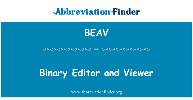 BEAV: Éditeur de fichier binaire et Viewer