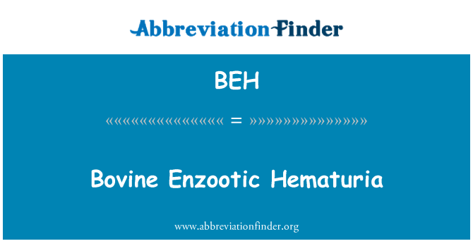 BEH: Storfe Enzootic Hematuria