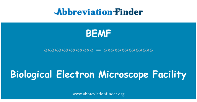 BEMF: Biological Electron Microscope Facility
