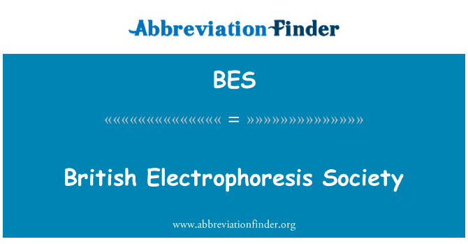 BES: Sociedade britânica da electroforese