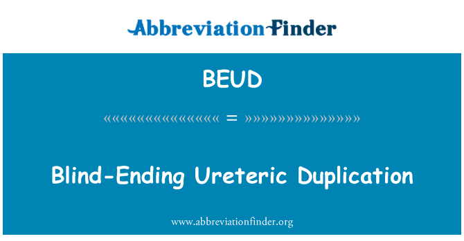 BEUD: Blind край Ureteric дублиране