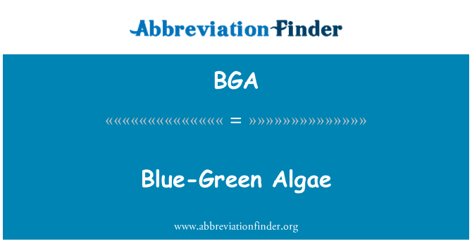 BGA: Biru – Green alga