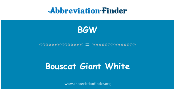 BGW: Bouscat olbrzym biały