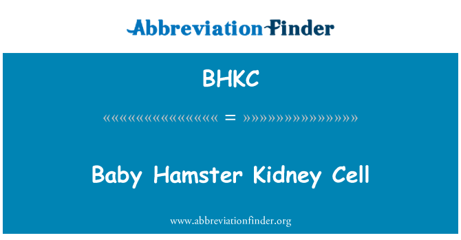 BHKC: Sel buah pinggang bayi Hamster