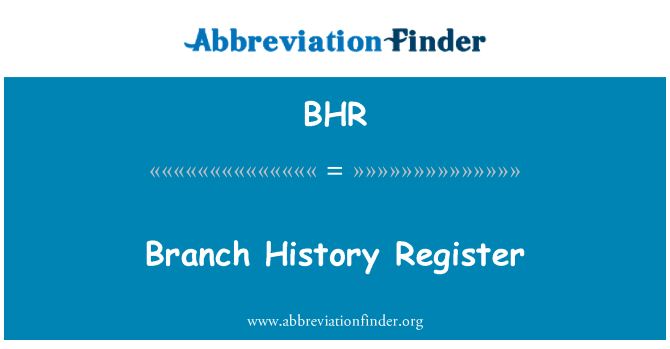 BHR: Historie registr větve