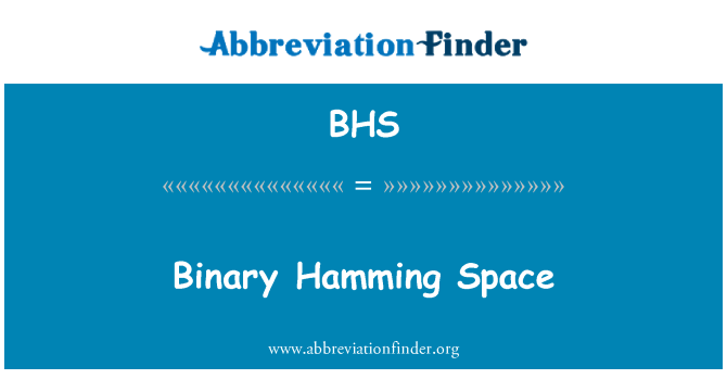 BHS: Binary Hamming Space