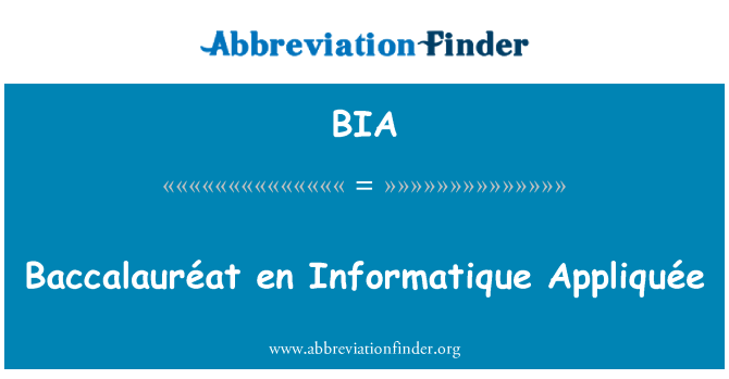 BIA: Maturitní vysvědčení en Informatique Appliquée