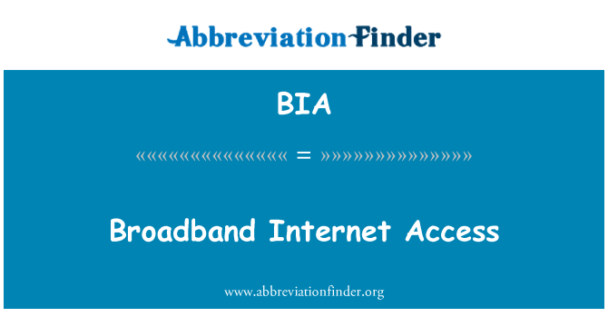 BIA: Acces la Internet în bandă largă