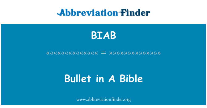 BIAB: Bullet in A Bible