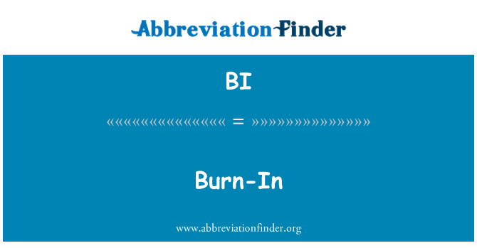 BI: Burn-In