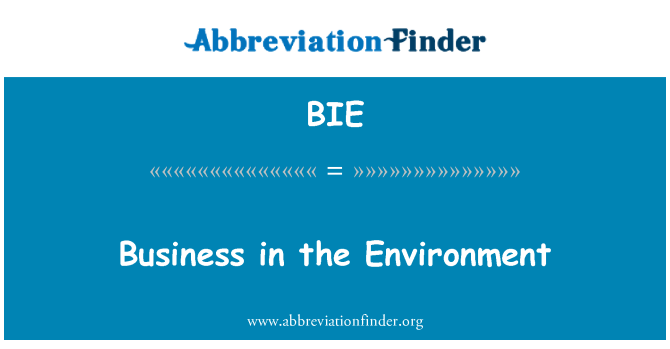 BIE: Business nell'ambiente