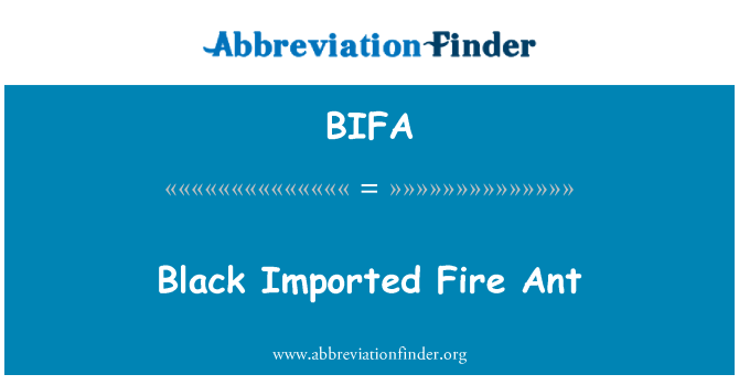 BIFA: Negro importado hormiga de fuego