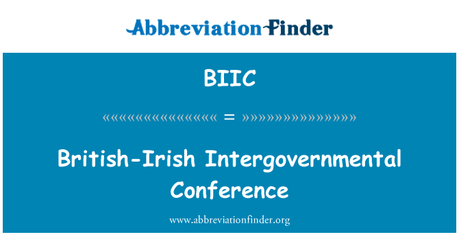 BIIC: 英國 - 愛爾蘭政府間會議