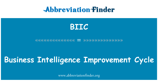 BIIC: بزنس انٹیلی جنس بہتری سائیکل