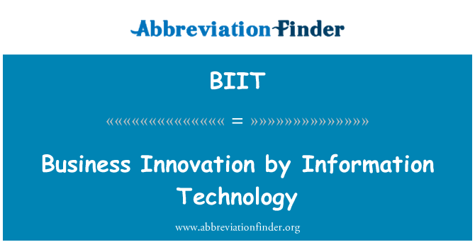 BIIT: Business Innovation by Information Technology