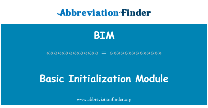 BIM: Základní inicializace modulu