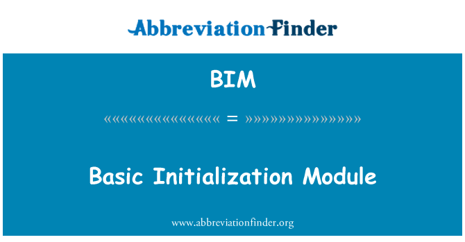 BIM: 基本的初始化模組